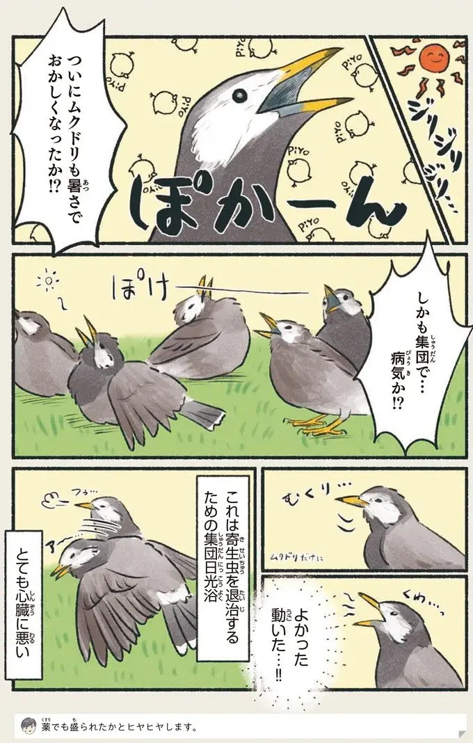 『意外と知らない鳥の生活 1〜2』（18）