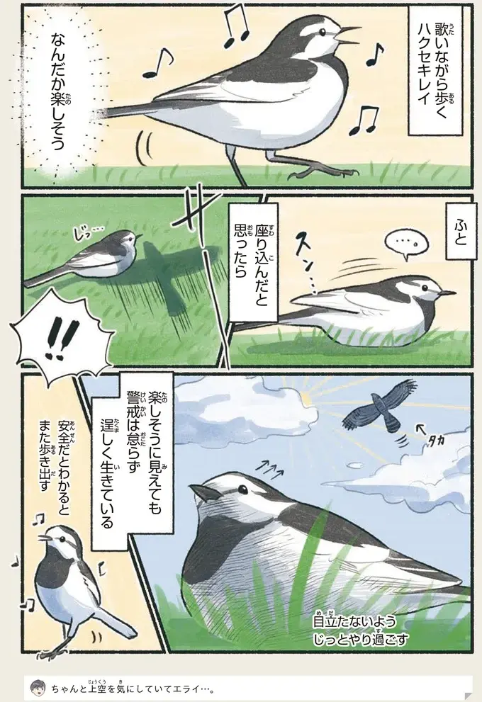 『意外と知らない鳥の生活 1〜2』（23）