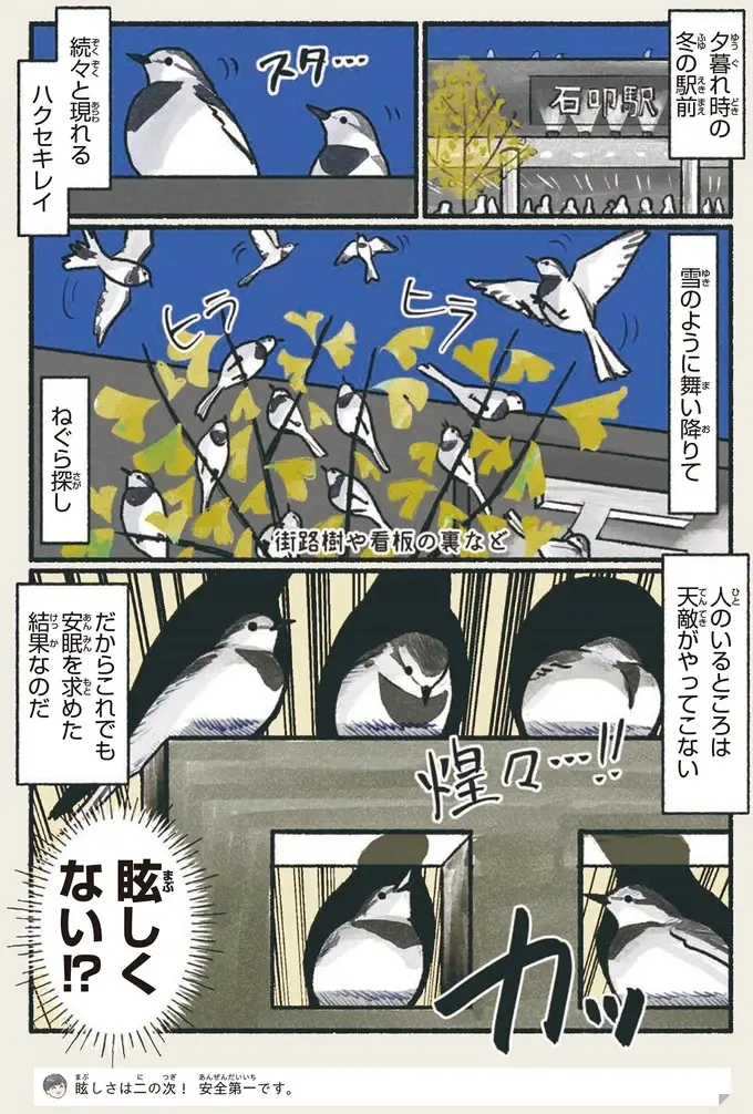 『意外と知らない鳥の生活 1〜2』（24）