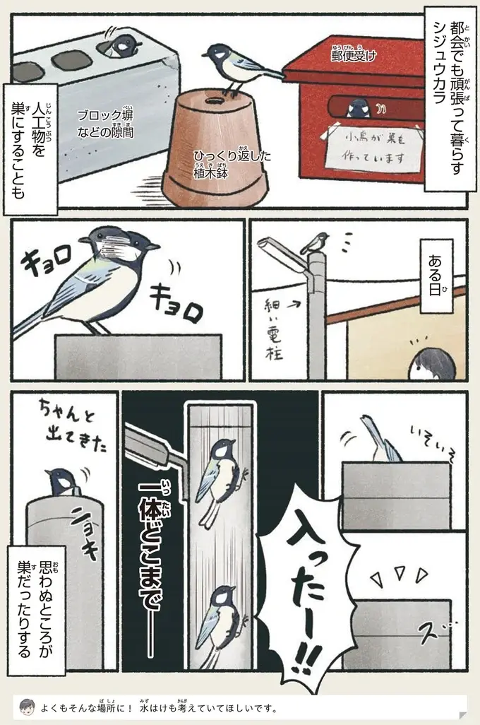『意外と知らない鳥の生活 1〜2』（26）