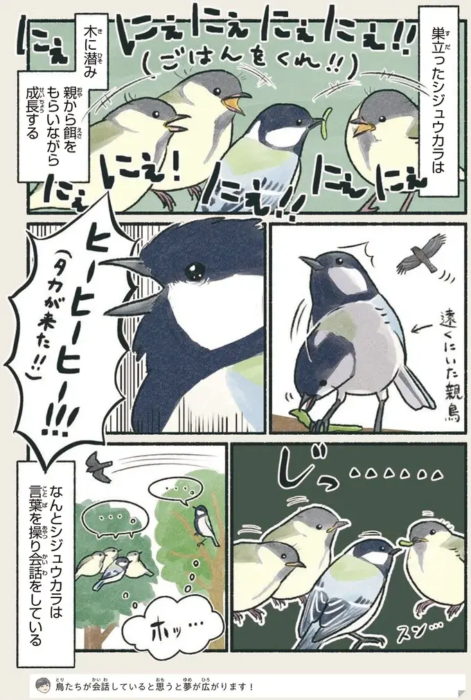 『意外と知らない鳥の生活 1〜2』（27）