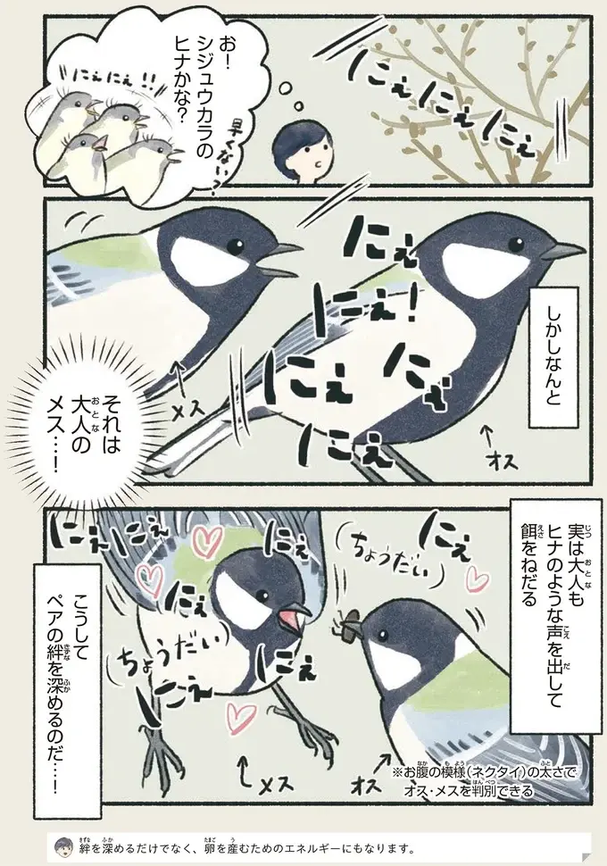『意外と知らない鳥の生活 1〜2』（28）