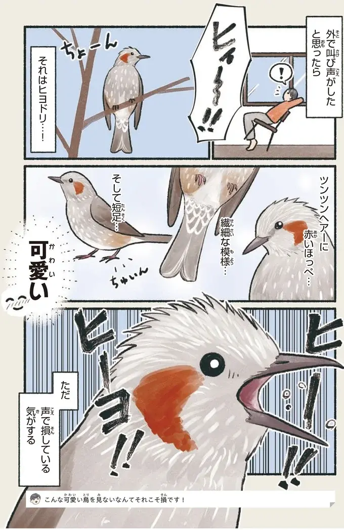 『意外と知らない鳥の生活 1〜2』（29）