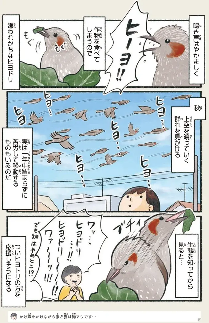 『意外と知らない鳥の生活 1〜2』（32）