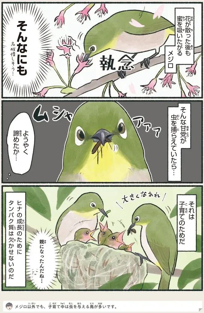 『意外と知らない鳥の生活 1〜2』（35）