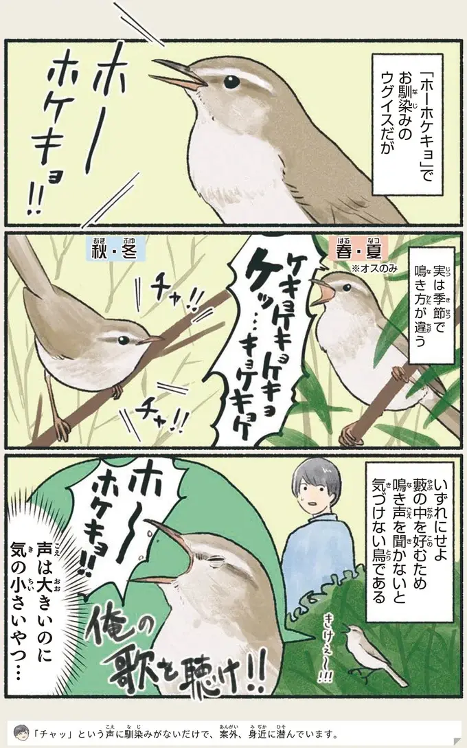『意外と知らない鳥の生活 1〜2』（36）
