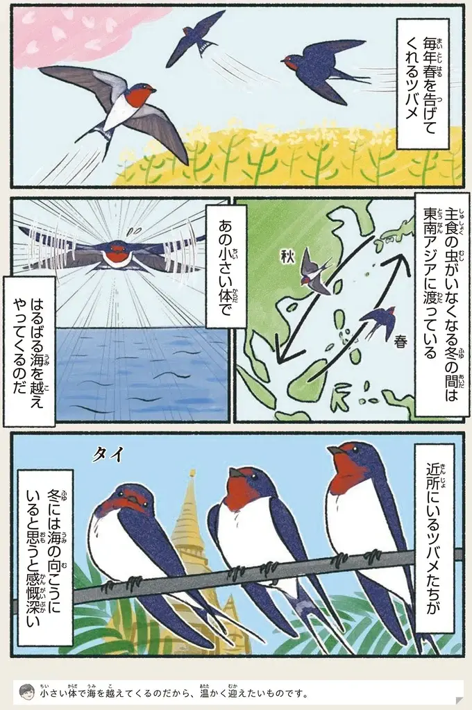 『意外と知らない鳥の生活 1〜2』（38）