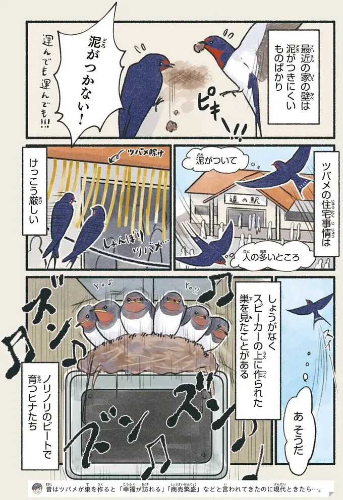 『意外と知らない鳥の生活 1〜2』（40）