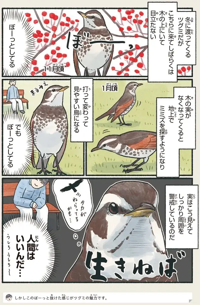 『意外と知らない鳥の生活 1〜2』（42）