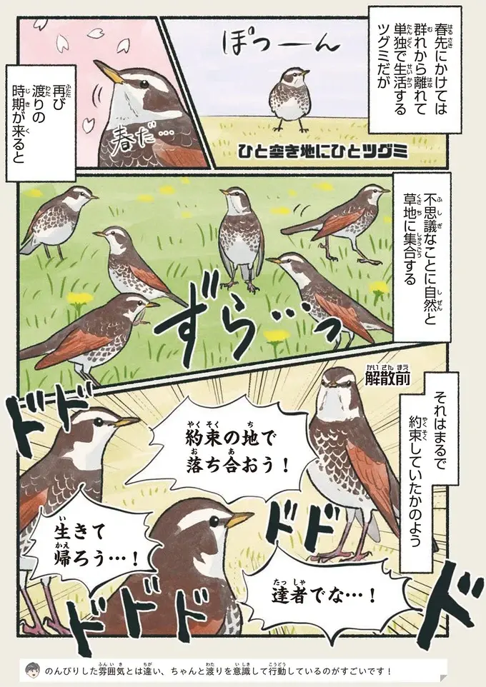 『意外と知らない鳥の生活 1〜2』（44）