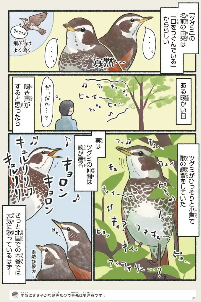 『意外と知らない鳥の生活 1〜2』（45）
