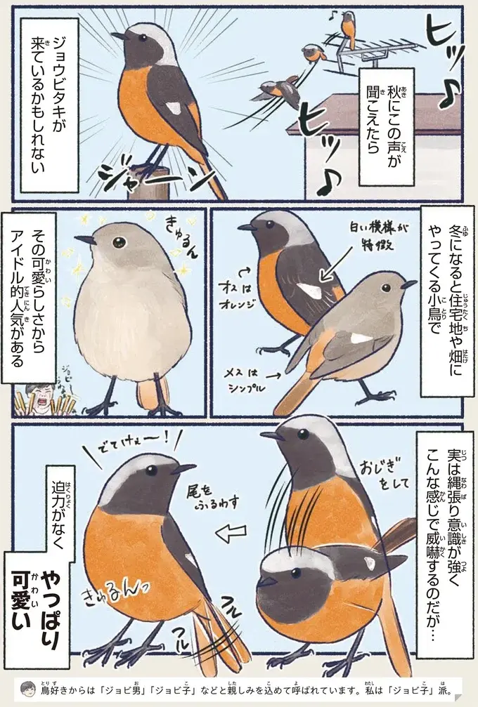 『意外と知らない鳥の生活 1〜2』（46）