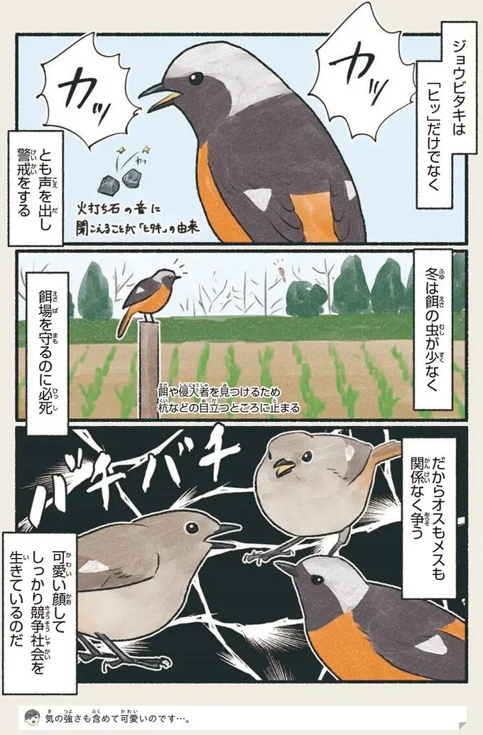 『意外と知らない鳥の生活 1〜2』（47）