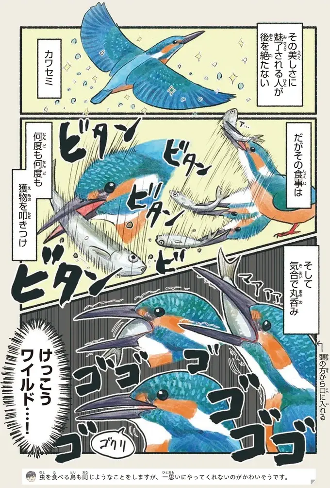 『意外と知らない鳥の生活 1〜2』（48）