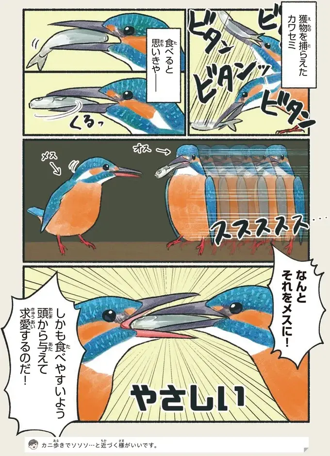 『意外と知らない鳥の生活 1〜2』（50）
