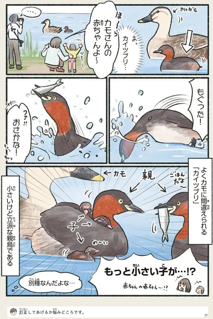 『意外と知らない鳥の生活 1〜2』（51）