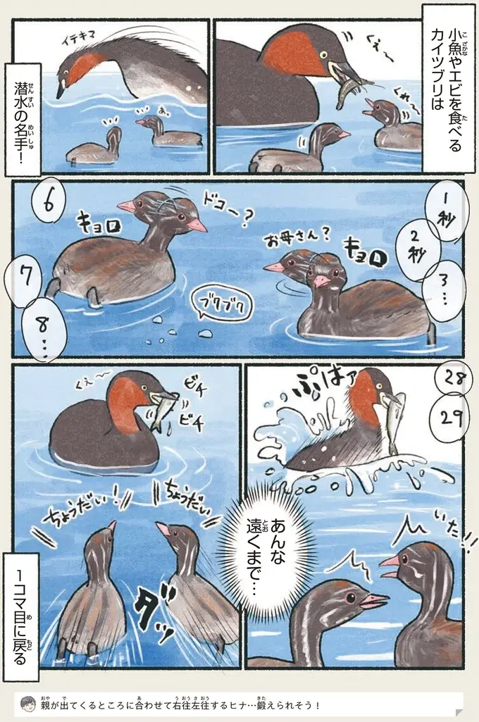 『意外と知らない鳥の生活 1〜2』（53）