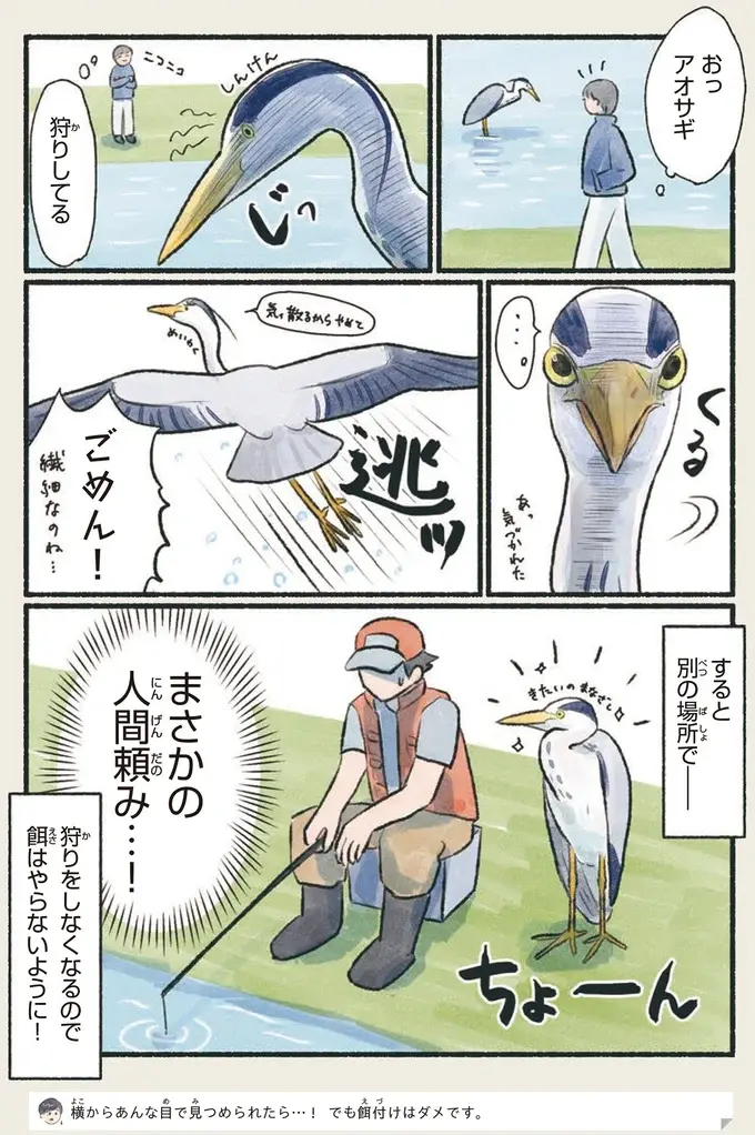 『意外と知らない鳥の生活 1〜2』（58）
