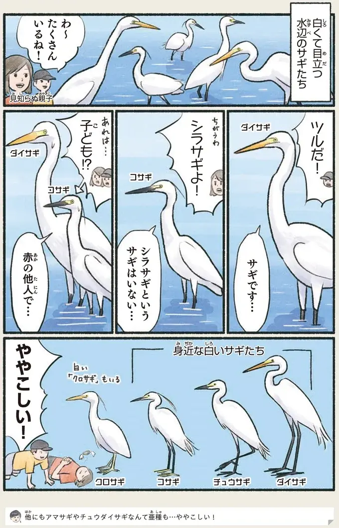 『意外と知らない鳥の生活 1〜2』（59）