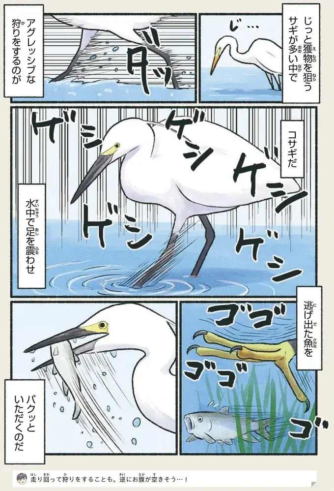 『意外と知らない鳥の生活 1〜2』（60）