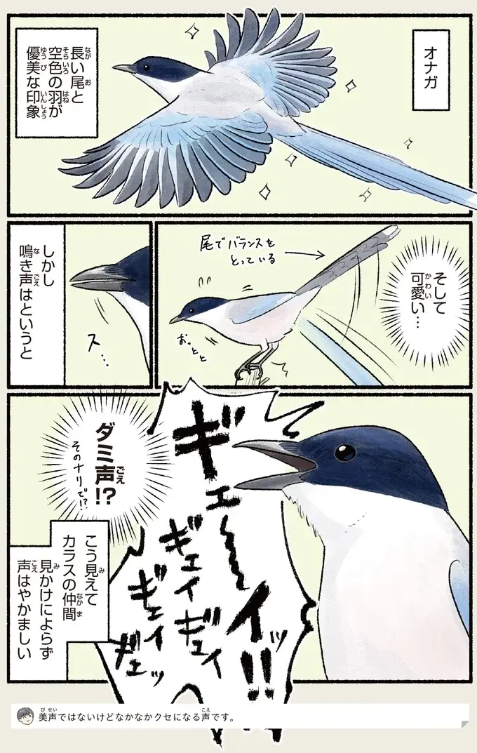 『意外と知らない鳥の生活 1〜2』（66）