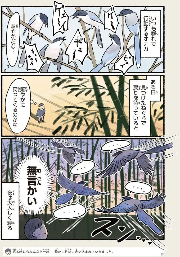 『意外と知らない鳥の生活 1〜2』（67）