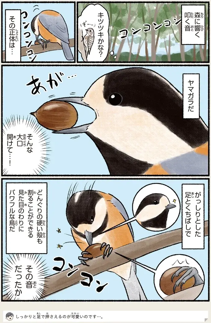 『意外と知らない鳥の生活 1〜2』（70）