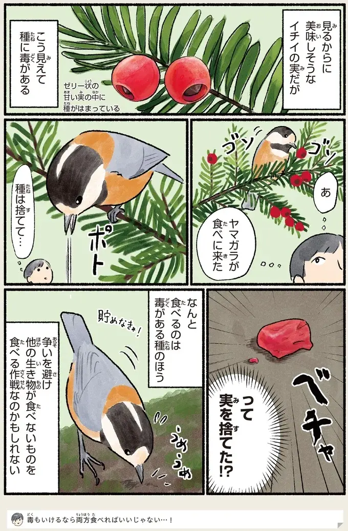 『意外と知らない鳥の生活 1〜2』（71）