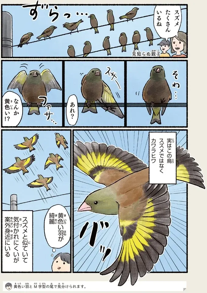 『意外と知らない鳥の生活 1〜2』（72）