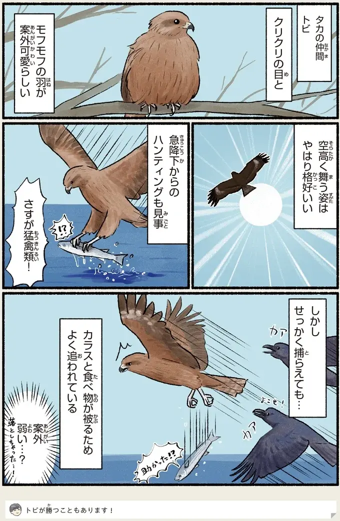 『意外と知らない鳥の生活 1〜2』（74）