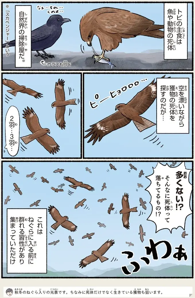 『意外と知らない鳥の生活 1〜2』（75）