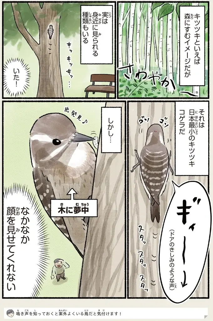 『意外と知らない鳥の生活 1〜2』（76）