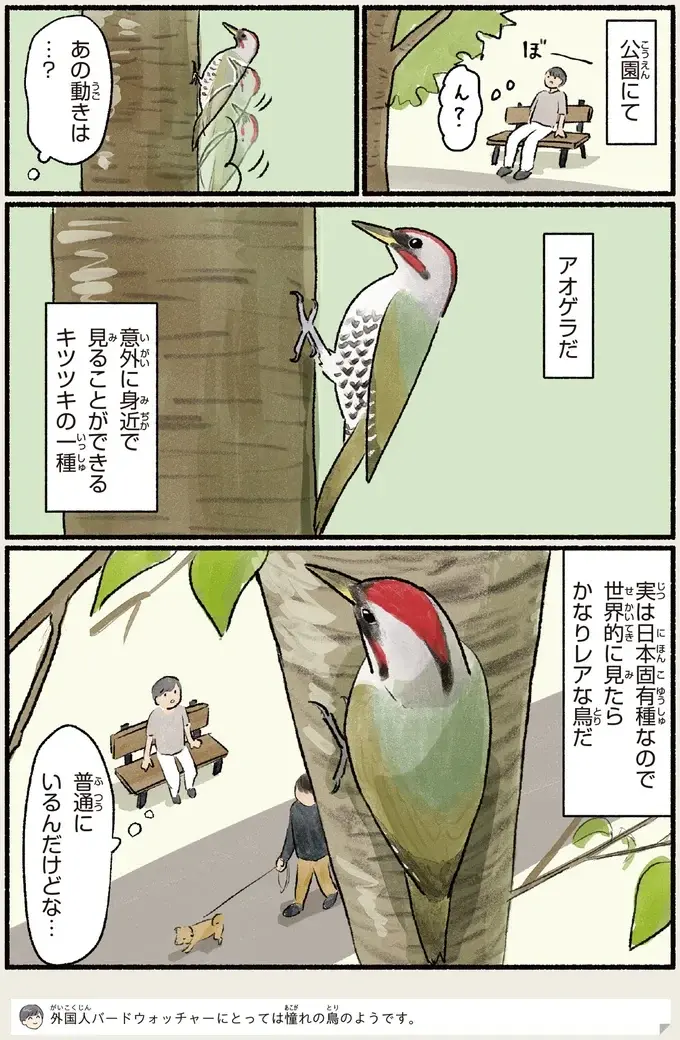 『意外と知らない鳥の生活 1〜2』（78）