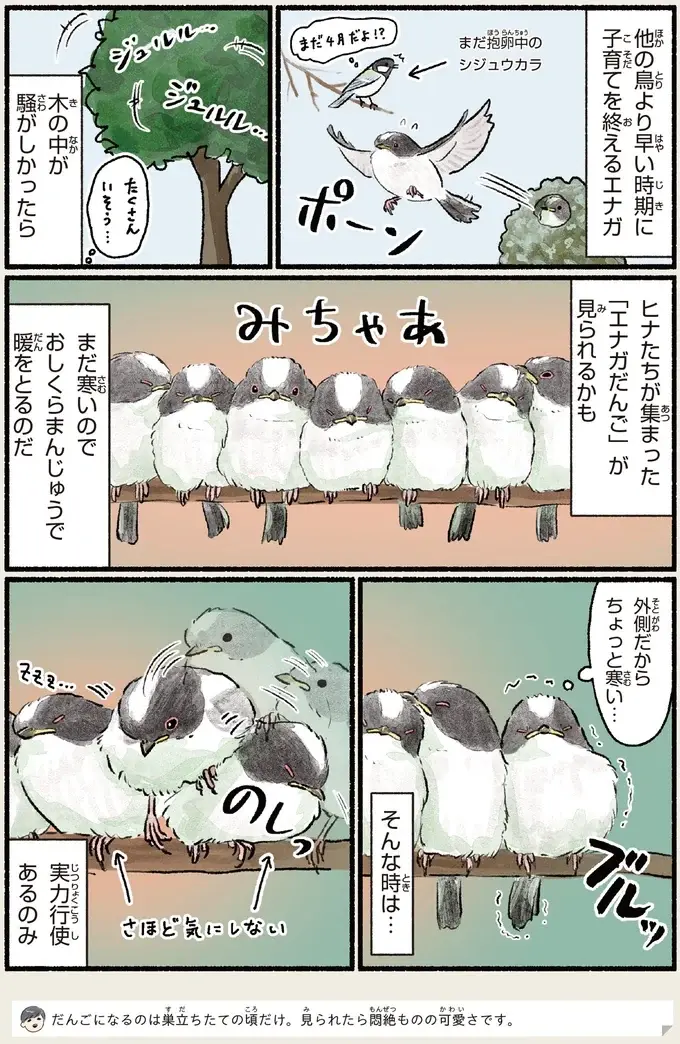 『意外と知らない鳥の生活 1〜2』（81）