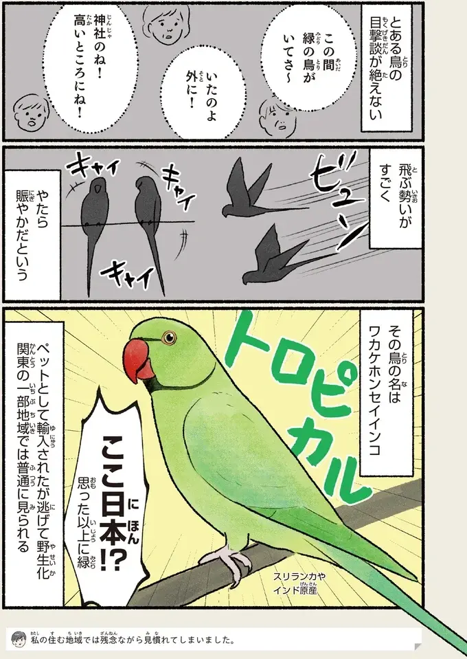 『意外と知らない鳥の生活 1〜2』（82）