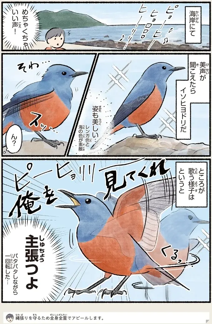 『意外と知らない鳥の生活 1〜2』（84）