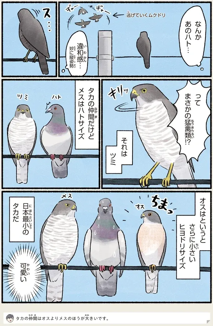 『意外と知らない鳥の生活 1〜2』（86）