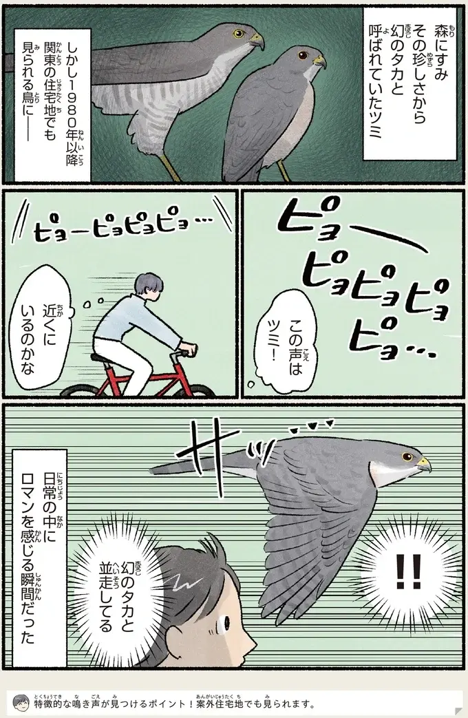 『意外と知らない鳥の生活 1〜2』（87）