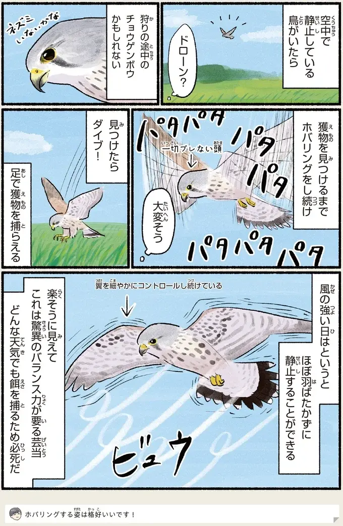 『意外と知らない鳥の生活 1〜2』（88）