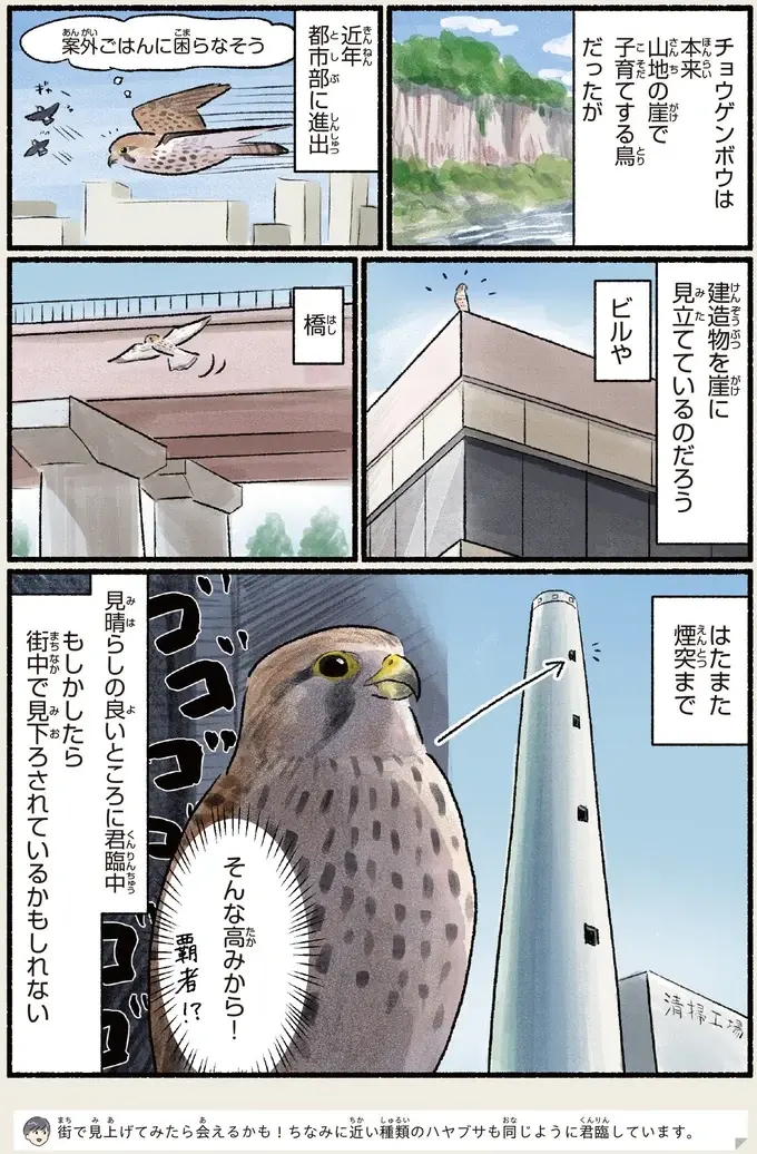 『意外と知らない鳥の生活 1〜2』（89）