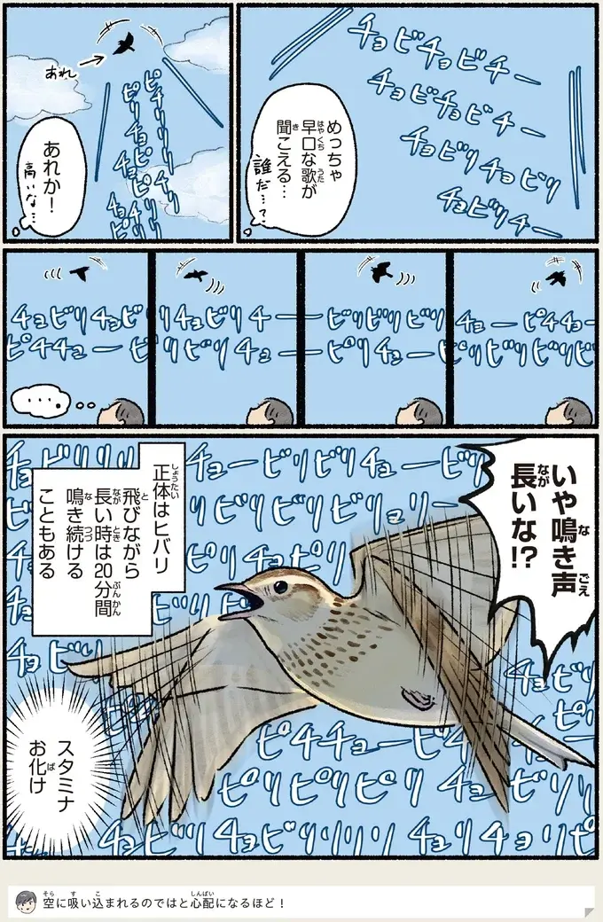 『意外と知らない鳥の生活 1〜2』（90）