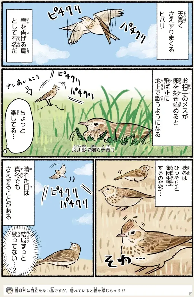 『意外と知らない鳥の生活 1〜2』（91）
