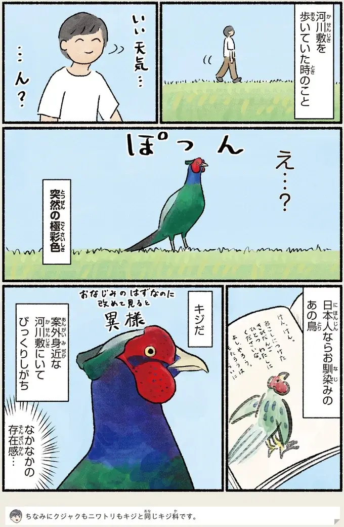 『意外と知らない鳥の生活 1〜2』（92）