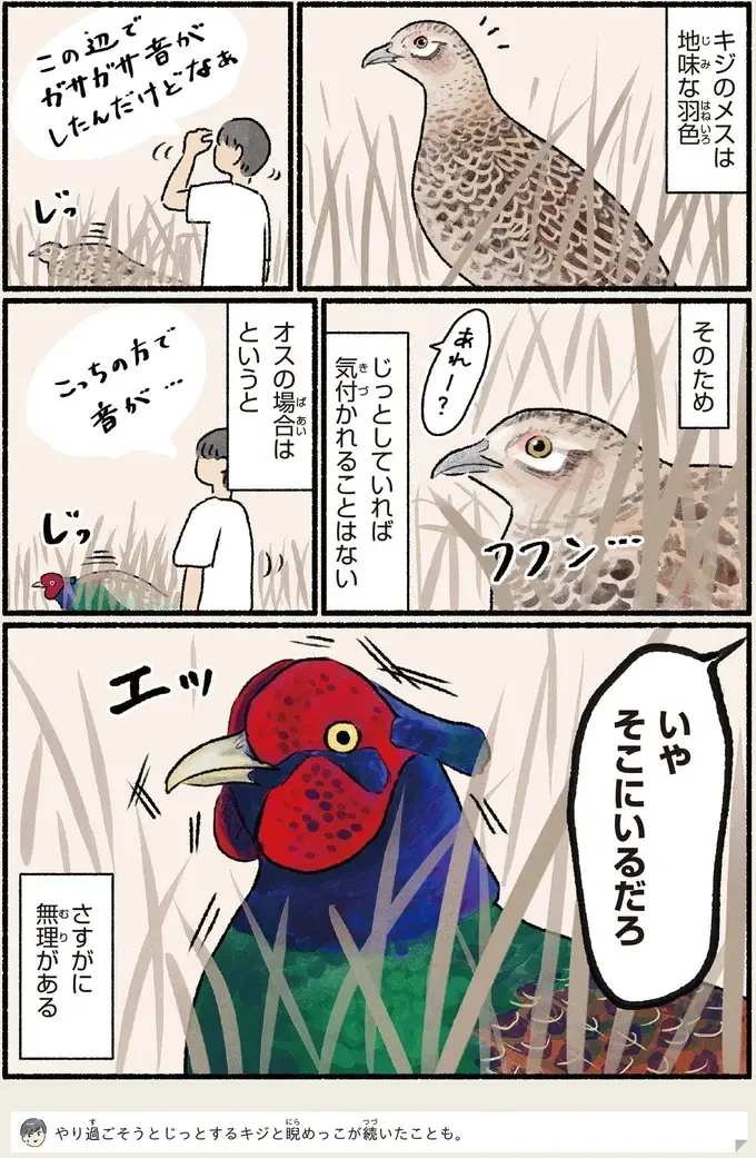 『意外と知らない鳥の生活 1〜2』（93）