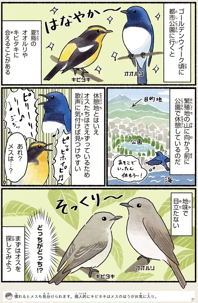 『意外と知らない鳥の生活 1〜2』（94）