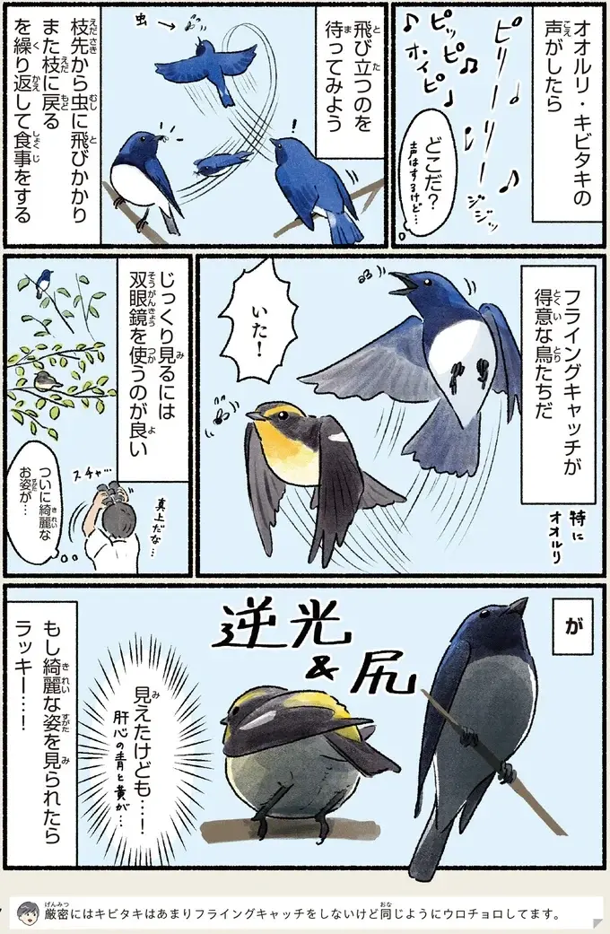 『意外と知らない鳥の生活 1〜2』（95）