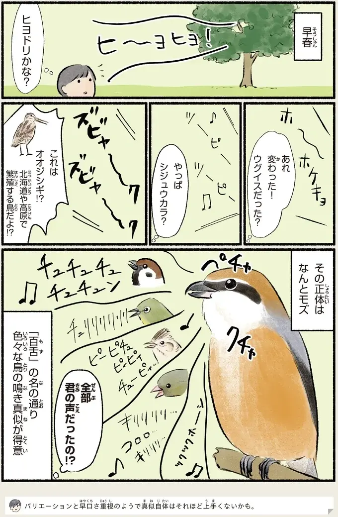 『意外と知らない鳥の生活 1〜2』（97）