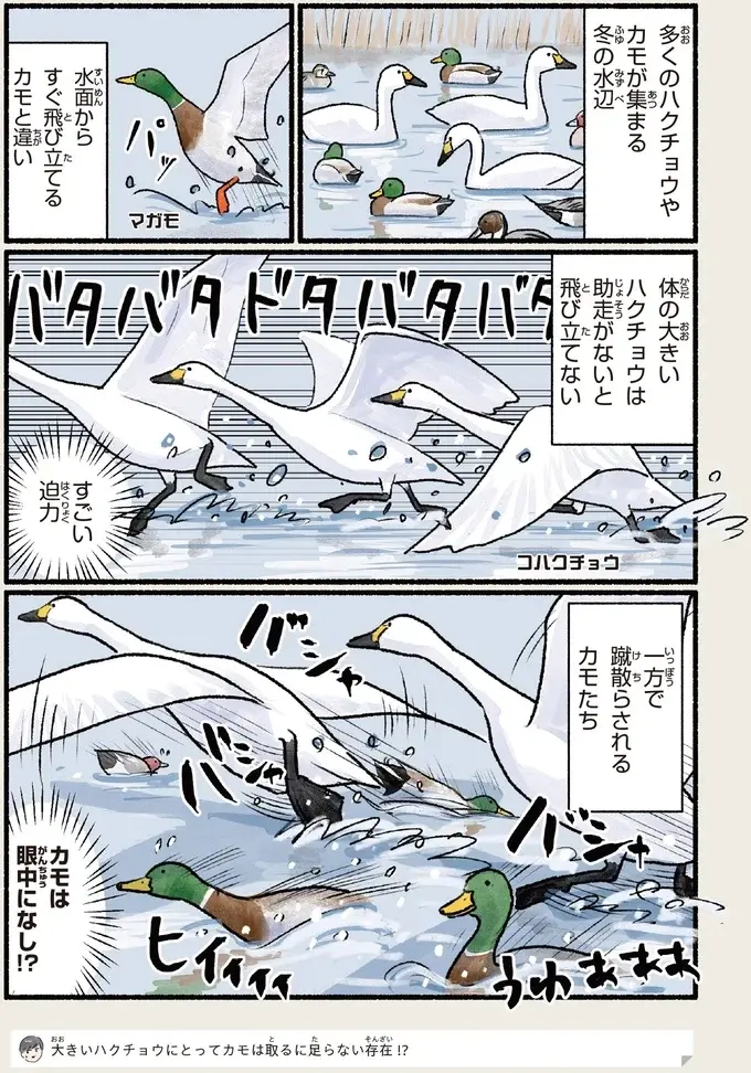 『意外と知らない鳥の生活 1〜2』（98）
