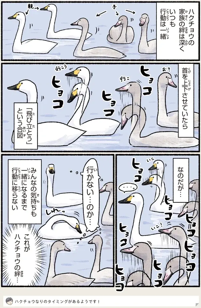 『意外と知らない鳥の生活 1〜2』（99）