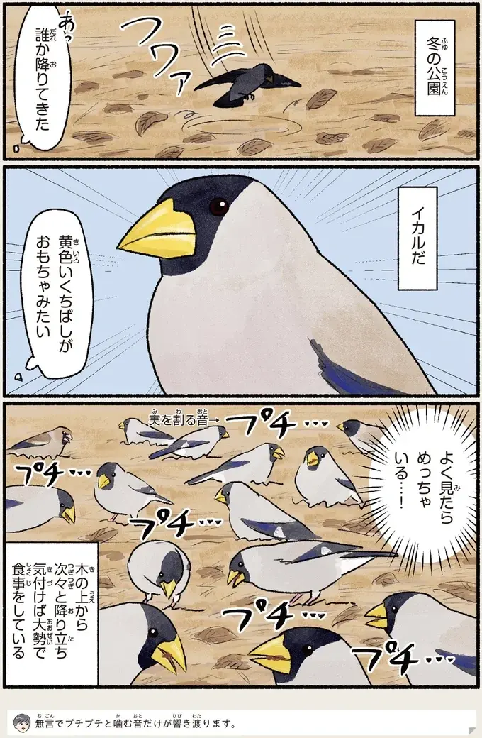 『意外と知らない鳥の生活 1〜2』（100）